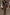Thumbnail for caption_Model is 5ft7” and wears size S