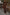 Thumbnail for caption_Model is 5ft7” and wears size S
