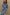 Thumbnail for caption_Model is 5ft4” and wears size S