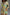 Thumbnail for caption_Model is 5ft7” and wears UK size 8/ US 4