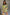 Thumbnail for caption_Model is 5ft7” and wears UK size 8/ US 4