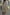Thumbnail for caption_Model is 5ft6” and wears size S