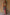 Thumbnail for caption_Model is 5ft4” and wears UK size 10/ US 6