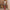 Thumbnail for Pastel Morocco Dorris Skirt Petite