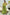Thumbnail for Olive Lola Mid-axi Dress
