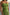 Thumbnail for Olive Lola Mid-axi Dress