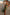 Thumbnail for Olive Sofia Dress