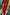 Thumbnail for Orange Sequin Dorris Skirt Petite