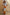 Thumbnail for Orange Acetate Visor Sunglasses