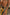 Thumbnail for Palm Leaf Sarong