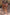 Thumbnail for Palm Leaf Sarong