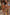 Thumbnail for Palm Leaf Sarong