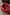 Thumbnail for Red Bandana Reversible Make Up Bag