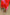 Thumbnail for caption_Model is 5ft7” and wears UK size 8/ US 4