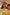 Thumbnail for Red Bandana Cap