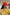 Thumbnail for Red Bandana Cap