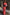 Thumbnail for Red Bandana Rib Dorris Skirt