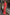 Thumbnail for Red Bandana Rib Dorris Skirt