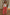 Thumbnail for caption_Model is 5ft7” and wears UK size 18/ US 14