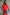 Thumbnail for Red Palm Broderie Hayley Dress