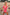 Thumbnail for Pink Safari Mini Tilly Dress