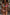 Thumbnail for caption_Model is 5ft7” and wears UK size 10/ US 6