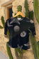 Black Seashell Mesh T Shirt