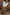Thumbnail for caption_Model is 5ft4” and wears S