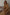 Thumbnail for caption_Model is 5ft7” and wears size M