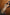 Thumbnail for Animal Tilly Dress Petite
