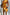 Thumbnail for caption_Model is 5ft5” and wears UK size 8/ US 4