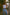Thumbnail for caption_Model is 5ft7” and wears size S