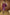 Thumbnail for caption_Model is 5ft5” and wears UK size 10/ US 6