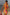 Thumbnail for Yellow Tort Wiggle Arm Sunglasses