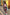 Thumbnail for Navy Abstract Coat