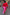 Thumbnail for caption_Model is 5ft7” and wears size XXL