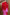 Thumbnail for caption_Model is 5ft6” and wears size M