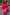 Thumbnail for caption_Model is 5ft7” and wears size XXL