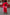 Thumbnail for caption_Model is 5ft7” and wears size XXL