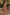 Thumbnail for Palm Cupped Bikini Top