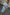Thumbnail for caption_Model wears Ice Blue Plisse Tilly Dress in size XL