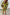 Thumbnail for Khaki Eye Mini Soho Dress Petite