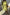 Thumbnail for Khaki Eye Mini Soho Dress Petite