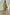 Thumbnail for Khaki Eye Mini Soho Dress Petite