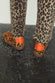 Leopard Pony Trainer