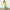 Thumbnail for Lime Ombre Plisse Claudia Dress