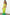 Thumbnail for caption_Model wears Lime Ombre Plisse Claudia Dress in UK size 10/ US 6