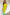 Thumbnail for Lime Ombre Plisse Claudia Dress