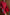 Thumbnail for Red Velvet Bow Bag