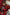 Thumbnail for Kids Red Bow Cotton Button Through Pyjamas